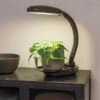Agrobrite Desktop LED Plant Lamp -Best Garden Care Shop 8608871 0345 tif