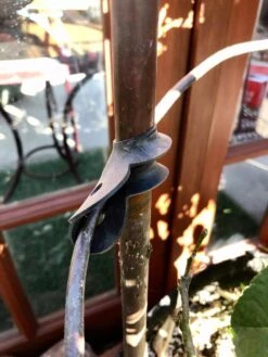 Garden Cane Connects, Set Of 6 8 Garden Cane Connects, Set Of 6 -Best Garden Care Shop 8609019 03V tif