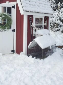 Chicken Wire Crop Coop 24 Chicken Wire Crop Coop -Best Garden Care Shop 8609080 03IN tif