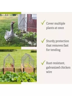 Chicken Wire Crop Coop 17 Chicken Wire Crop Coop -Best Garden Care Shop 8609080 2