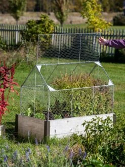 Chicken Wire Crop Coop 21 Chicken Wire Crop Coop -Best Garden Care Shop 8609080 4024