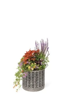 Galvanized Grow Bag Planter 12" -Best Garden Care Shop 8609177 0368 tif