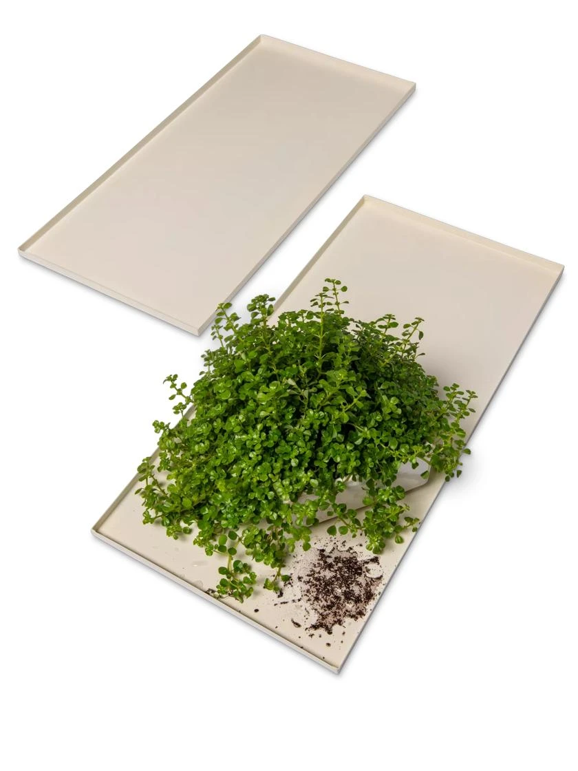 Oslo Grow Light Garden Trays, Set Of 2 5 Oslo Grow Light Garden Trays, Set Of 2 - Image 3