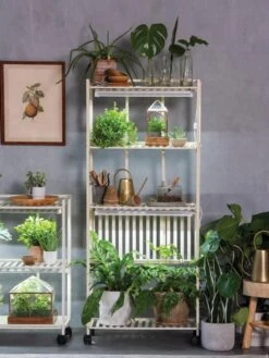 Oslo 4-Tier LED Grow Light Garden -Best Garden Care Shop 8609188 4118 tif