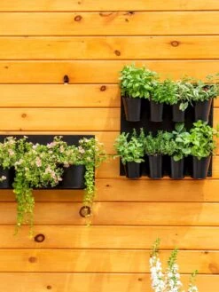 8 Pot Metal Wall Planter 9 8 Pot Metal Wall Planter -Best Garden Care Shop 8609195 6250 tif