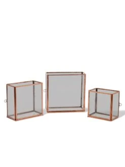Copper And Glass Terrariums, Set Of 3 -Best Garden Care Shop 8609212 0851 tif