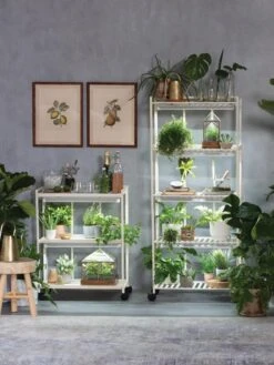 Oslo 2-Tier LED Grow Light Garden, 2 Fixtures -Best Garden Care Shop 8609220 4105 tif