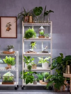 Oslo 4-Tier LED Grow Light Garden -Best Garden Care Shop 8609220 4116 tif