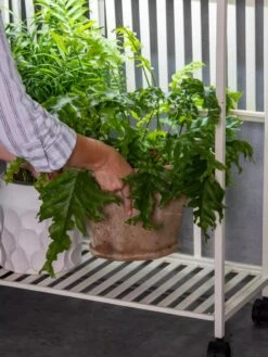 Oslo 2-Tier LED Grow Light Garden, 2 Fixtures -Best Garden Care Shop 8609220 4122 tif