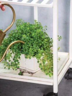 Oslo Grow Light Garden Trays, Set Of 2 6 Oslo Grow Light Garden Trays, Set Of 2 -Best Garden Care Shop 8609220 4137 tif 1