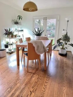 Oslo 2-Tier LED Grow Light Garden, 2 Fixtures -Best Garden Care Shop 8609221 01IN tif