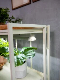 Oslo 2-Tier LED Grow Light Garden, 2 Fixtures -Best Garden Care Shop 8609221 4101 tif