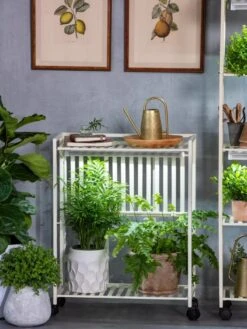 Oslo 2-Tier LED Grow Light Garden, 2 Fixtures -Best Garden Care Shop 8609221 7236 tif