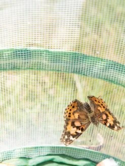 Butterfly Garden® Kit With Voucher -Best Garden Care Shop 8609265 6288 tif