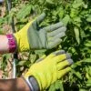 Garden Works Artisan™ Gloves -Best Garden Care Shop 8609445 0364 tif