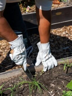 Best Garden Care Shop -Best Garden Care Shop 8609446 0455