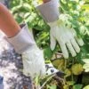 Garden Works Mid Cuff™ Gloves -Best Garden Care Shop 8609447 0118 tif