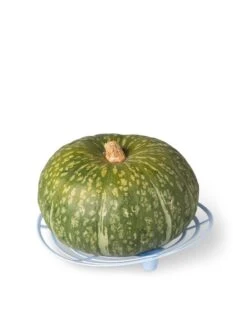 Melon And Squash Cradles, Set Of 6 8 Melon And Squash Cradles, Set Of 6 -Best Garden Care Shop 8609464 5204 tif