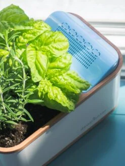 Dewplanter -Best Garden Care Shop 8609512 04V