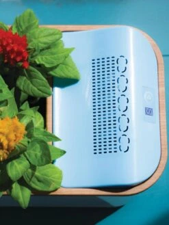 Dewplanter -Best Garden Care Shop 8609512 Dewplanter