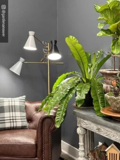 Adjustable 3-Arm Grow Lamp 15 Adjustable 3-Arm Grow Lamp -Best Garden Care Shop 8609868 01IN tif