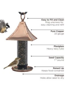Palazzo Bird Feeder -Best Garden Care Shop 8609895 03v