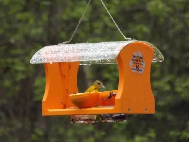 Birds Choice™ Oriole Feeder 4 Birds Choice™ Oriole Feeder - Image 2