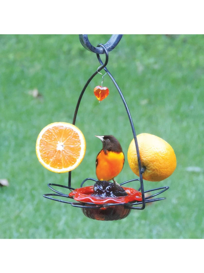 Birds Choice ™ Oriole Flower Feeder 3 Birds Choice ™ Oriole Flower Feeder - Image 2