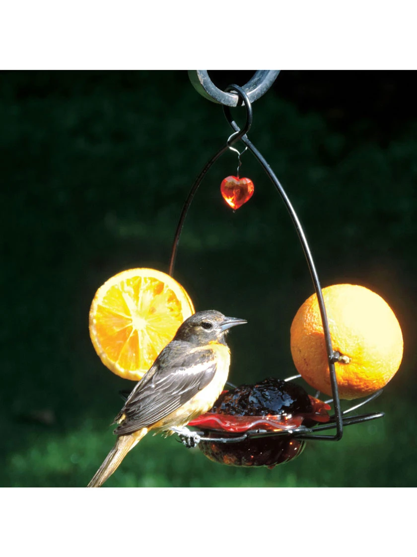 Birds Choice ™ Oriole Flower Feeder 4 Birds Choice ™ Oriole Flower Feeder - Image 3
