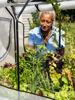 VegTrug®Patio Garden Greenhouse Cover Kit 13 VegTrug®Patio Garden Greenhouse Cover Kit -Best Garden Care Shop 8610172 1256