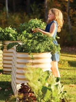 Birdies™ Modular Metal Raised Bed, Tall -Best Garden Care Shop 8610174 05010 tif