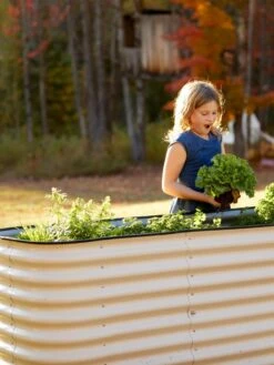 Birdies™ Modular Metal Raised Bed, Tall -Best Garden Care Shop 8610174 5015 tif