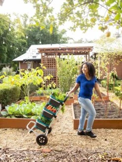 Mod Hod Trolley With Teal Mod Hods -Best Garden Care Shop 8610240 0070 tif