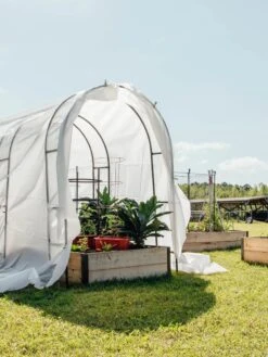 Maxi Garden Quilt -Best Garden Care Shop 8610373 373 tif