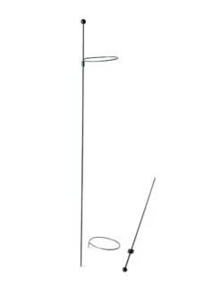 Peacock Mini Plant Support Rings 4", Set Of 2 -Best Garden Care Shop 8610386 9566