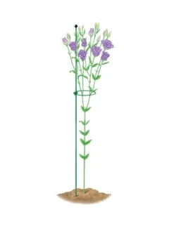 Peacock Mini Plant Support Rings 4", Set Of 2 -Best Garden Care Shop 8610386 peacock4x36