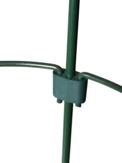 Peacock Mini Plant Support Rings 4", Set Of 2 -Best Garden Care Shop 8610387 9577