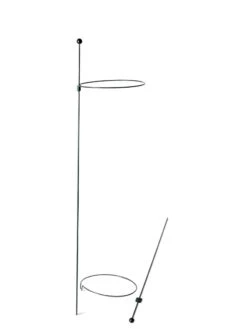 Peacock Mini Plant Support Rings 8", Set Of 2 15 Peacock Mini Plant Support Rings 8", Set Of 2 -Best Garden Care Shop 8610388 9565 tif