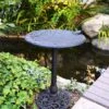 English Ivy Birdbath -Best Garden Care Shop 8610555 01v english ivy birdbath