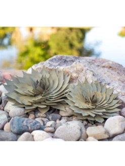 Desert Steel Spiral Aloe Sculpture -Best Garden Care Shop 8610749 04v