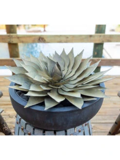 Desert Steel Spiral Aloe Sculpture -Best Garden Care Shop 8610750 02v