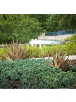 Desert Steel Sharkskin Agave Sculpture 11 Desert Steel Sharkskin Agave Sculpture -Best Garden Care Shop 8610753 05v