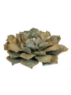 Desert Steel Blue Rose Succulent Sculpture -Best Garden Care Shop 8610763 01v desert steel blue rose succulent small