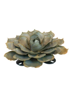 Desert Steel Blue Rose Succulent Sculpture -Best Garden Care Shop 8610764 01v desert steel blue rose succulent large