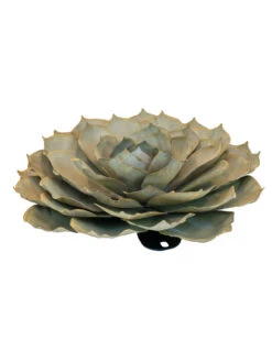Desert Steel Blue Rose Succulent Sculpture -Best Garden Care Shop 8610765 01v desert steel blue rose succulent medium
