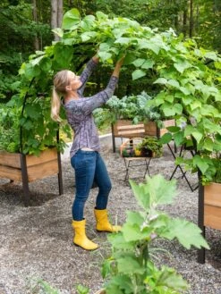 2’ X 8’ Arch Trellis For Planter Boxes -Best Garden Care Shop 8610798 050 tif