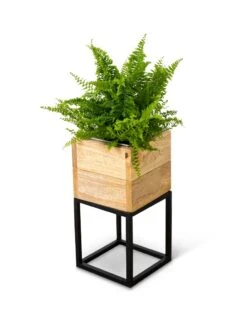Tartu Elevated Square Planters -Best Garden Care Shop 8611004 038