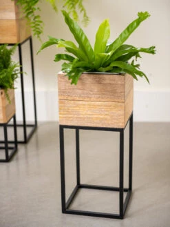 Tartu Elevated Square Planters -Best Garden Care Shop 8611005 035