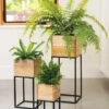 Tartu Elevated Square Planters -Best Garden Care Shop 8611006 031 tartu elevated square planter
