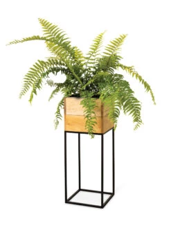 Tartu Elevated Square Planters -Best Garden Care Shop 8611006 033